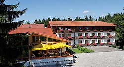 Eine tierisch wilde Urlaubsregion - der Nationalpark Bayerischer Wald